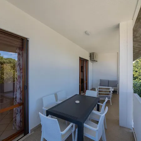 Latomare - Vibra マルティンシクーロ